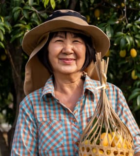 Team